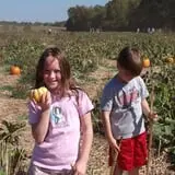 Pin Oak Farms U-Pick Pumpkin Patch photo