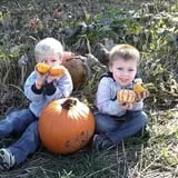 Pin Oak Farms U-Pick Pumpkin Patch photo