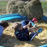 Pin Oak Farms U-Pick Pumpkin Patch photo