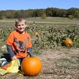 Pin Oak Farms U-Pick Pumpkin Patch photo
