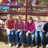 Pin Oak Farms U-Pick Pumpkin Patch photo