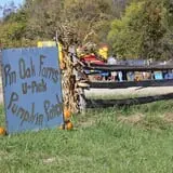 Pin Oak Farms U-Pick Pumpkin Patch photo