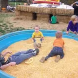 Pin Oak Farms U-Pick Pumpkin Patch photo