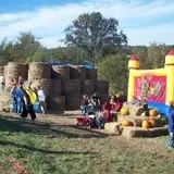 Pin Oak Farms U-Pick Pumpkin Patch photo