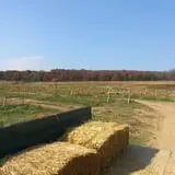 Pin Oak Farms U-Pick Pumpkin Patch photo