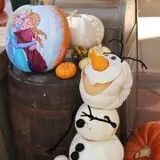 Ward's Pumpkin Patch photo
