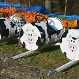 Ward's Pumpkin Patch photo