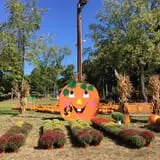 Ward's Pumpkin Patch photo