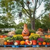 Ward's Pumpkin Patch photo