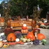 Ward's Pumpkin Patch photo