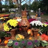 Ward's Pumpkin Patch photo