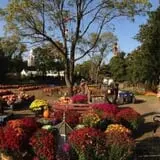 Ward's Pumpkin Patch photo