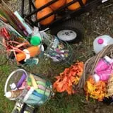 Ward's Pumpkin Patch photo