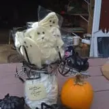 Ward's Pumpkin Patch photo