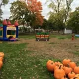 Ward's Pumpkin Patch photo