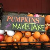Ward's Pumpkin Patch photo