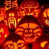 Ward's Pumpkin Patch photo