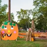 Ward's Pumpkin Patch photo