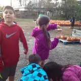 Ward's Pumpkin Patch photo