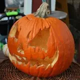 Ward's Pumpkin Patch photo