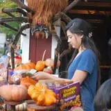Ward's Pumpkin Patch photo