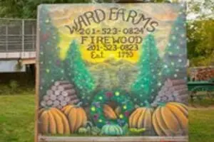 Ward's Pumpkin Patch