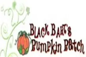 Black Bart's Pumpkin Patch