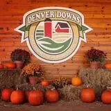 Denver Downs Farm photo