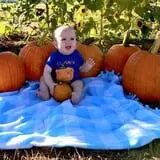 Denver Downs Farm photo