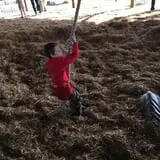 Denver Downs Farm photo