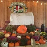 Denver Downs Farm photo