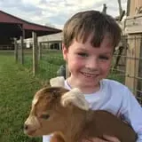 Denver Downs Farm photo