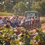 Denver Downs Farm photo