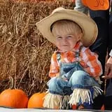 Denver Downs Farm photo