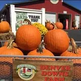 Denver Downs Farm photo