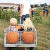 Denver Downs Farm photo