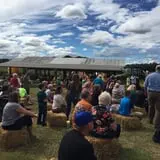 Denver Downs Farm photo