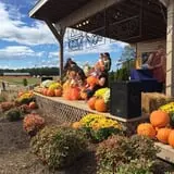 Denver Downs Farm photo