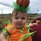 Denver Downs Farm photo