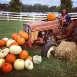 Denver Downs Farm photo
