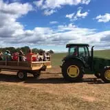 Denver Downs Farm photo
