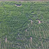 Denver Downs Farm photo