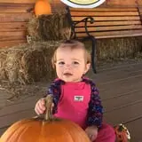 Denver Downs Farm photo