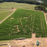 Denver Downs Farm photo
