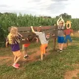 Denver Downs Farm photo