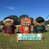 Denver Downs Farm photo