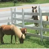 Denver Downs Farm photo