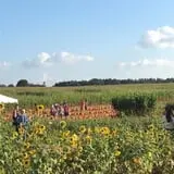 Denver Downs Farm photo