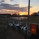 Denver Downs Farm photo