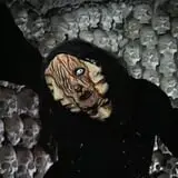 The Nevermore Haunt